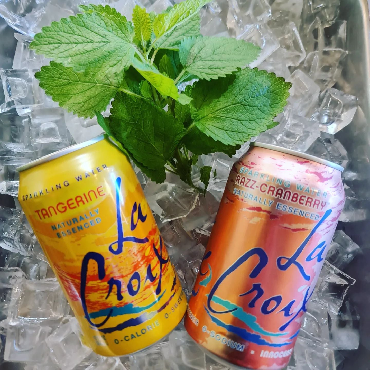 Seltzer / Sparkling Water Brew Bakers